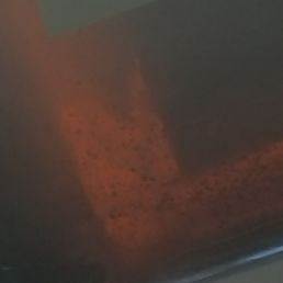Floaters inside Ballast Point Beer #Nasty