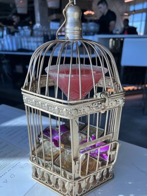 DOSALAS latin kitchen + tequila bar by null