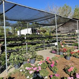 Small but well stocked garden center with a great variety of flowers and garden plants.