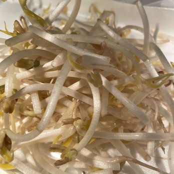 Pho Dakao - Kennesaw - Very fresh bean sprouts - Vietnamese Near Me - Kennesaw, Georgia Pho Dakao - Kennesaw - Very fresh bean sprouts - Vietnamese Near Me - Kennesaw, Georgia