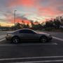 True Auto Werx Tint Specialist