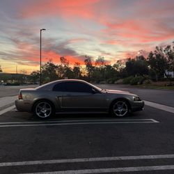 True Auto Werx Tint Specialist - 5% tint