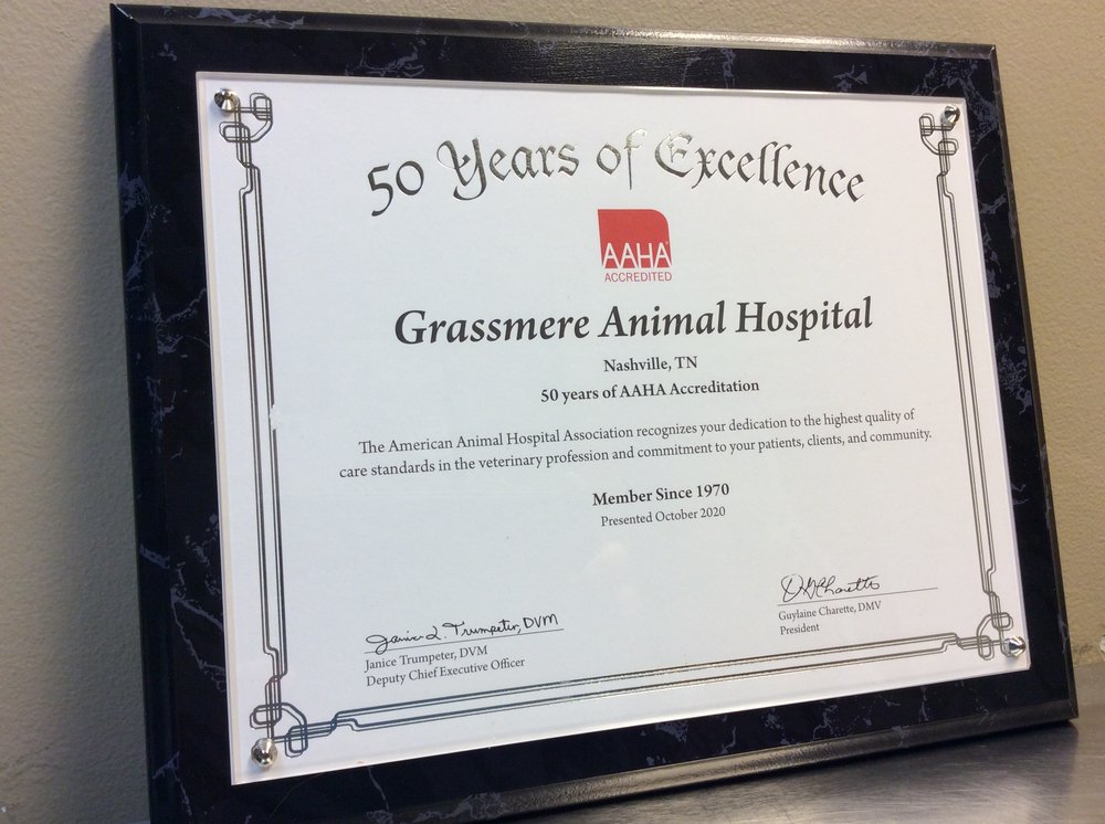 GRASSMERE ANIMAL HOSPITAL Updated September 2024 15 Photos & 26