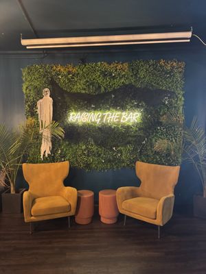 The Camden Social by null