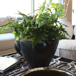 Burnt teak dulang bowl on great grate table - with ferns @artefacthome