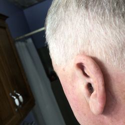 Cost Cutters - Close up of left ear and untrimmed ear