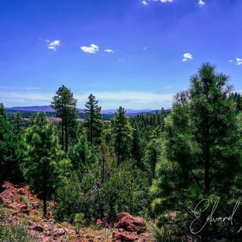 Horton Creek Trail - Looking out from the hatchery. - Hiking Near Me