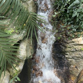 Denver Botanic Gardens - Waterfall - Botanical Gardens Near Me - Denver, Colorado