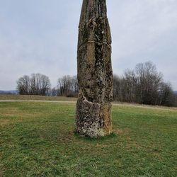 Gollenstein - Gollenstein