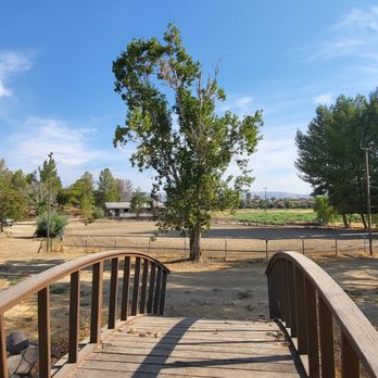 Flavin Farms - Horse Boarding Near Me - Agua Dulce, California Flavin Farms - Horse Boarding Near Me - Agua Dulce, California