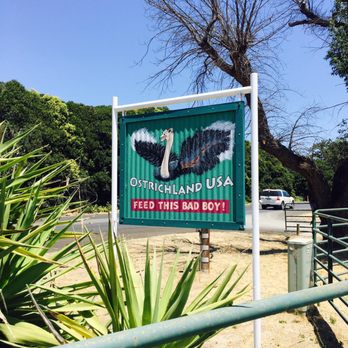 Ostrichland USA - Attraction Farms Near Me - Solvang, California Ostrichland USA - Attraction Farms Near Me - Solvang, California