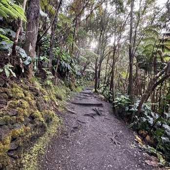 Volcano House - Hotels Near Me - Hawaii Natl Park, Hawaii