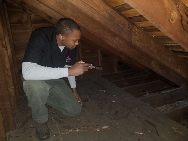 Garden State Preservation Services - mold inspector in Montclair, NJ