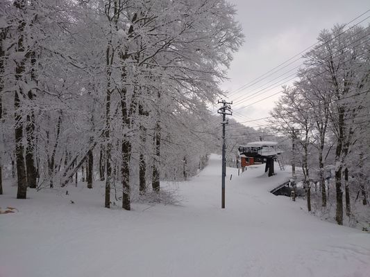 Zao Onsen Ski Resort by null