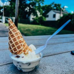 Pistachio Ice cream (Junior Size) with Waffle Cone