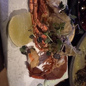 Roka Akor - Oak Brook - Japanese Near Me - Oak Brook, Illinois Roka Akor - Oak Brook - Japanese Near Me - Oak Brook, Illinois