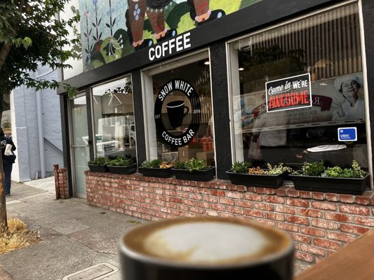 Snow White Coffee by null