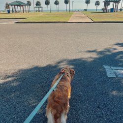 Bayfront Park - The front of the park