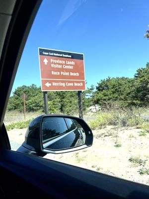 Herring Cove Beach by null