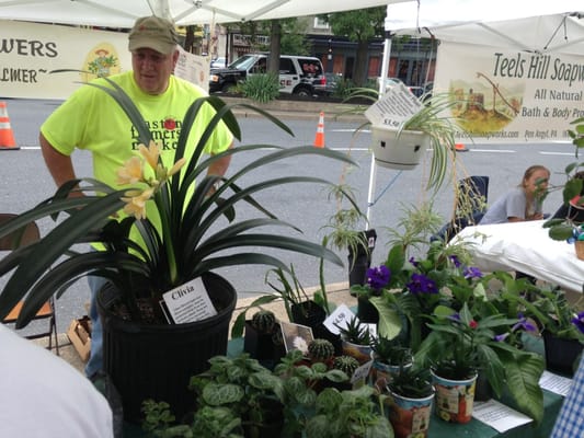 Easton Farmers' Market by null