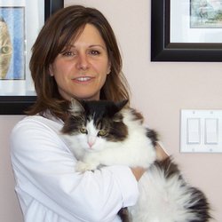 Hollybank Animal Hospital - Dr. Sandi Rosely