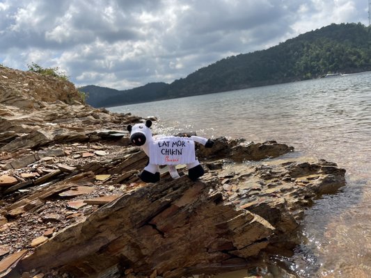 Beavers Bend State Park and Nature Center by null