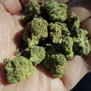 Curaleaf - Frosted Motor Breath (Indica) - Cannabis Clinics Near Me - Tampa, Florida