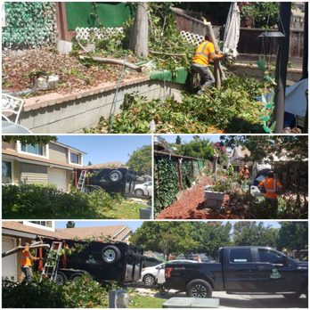 Active Landscape And Tree Service - Very least expensive offer. Very responsive, Good communication, On time, Professional, Hardworking and fast!! - Tree Services Near Me Active Landscape And Tree Service - Very least expensive offer. Very responsive, Good communication, On time, Professional, Hardworking and fast!! - Tree Services Near Me