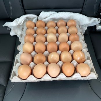 Billy's Egg Farm - Flats of large Omega 3 eggs! - Specialty Food Near Me - Chino, California