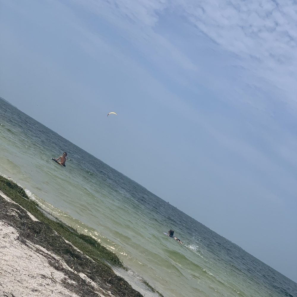Fred Howard Park - Beach - Parks Near Me - Tarpon Springs, Florida Fred Howard Park - Beach - Parks Near Me - Tarpon Springs, Florida