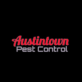 Austintown Pest Control - Pest Control Near Me