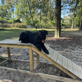 North Augusta bark park - Dog Parks Near Me - North Augusta, South Carolina North Augusta bark park - Dog Parks Near Me - North Augusta, South Carolina