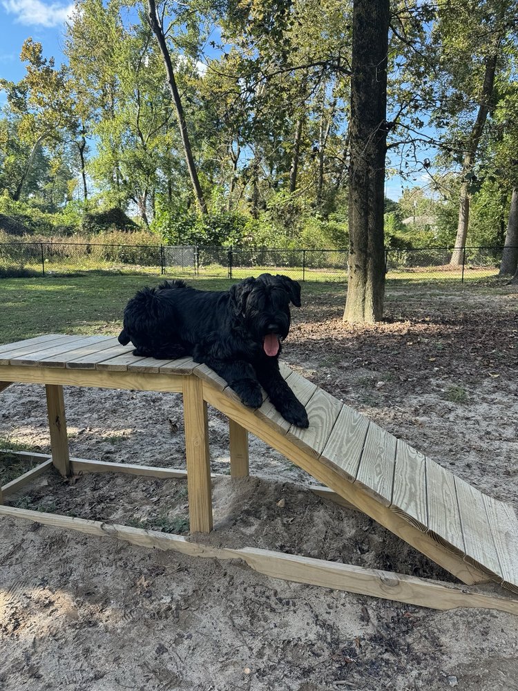 North Augusta bark park Logo
