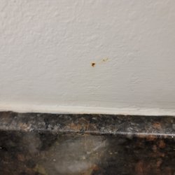 Quality Inn Cromwell - Middletown