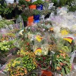 Carlstedt Oscar G - Flower cooler