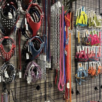 Bully’s Kennel Supply - Pet accessories - Pet Stores Near Me - National City, California Bully’s Kennel Supply - Pet accessories - Pet Stores Near Me - National City, California