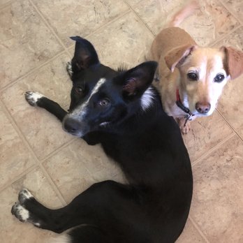 Mud Bay - Pet Stores Near Me - Portland, Oregon