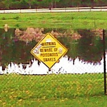 Rest Area I-95 Northbound - WARNING Beware of poisonous snakes!!! - Rest Stops Near Me - Saint Johns, Florida Rest Area I-95 Northbound - WARNING Beware of poisonous snakes!!! - Rest Stops Near Me - Saint Johns, Florida