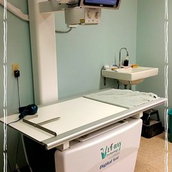 Lake Animal Hospital