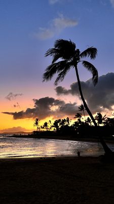 Poipu Beach Park by null