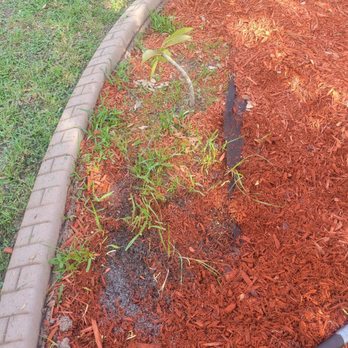 Dan's Landscaping Care Services - Landscaping Near Me