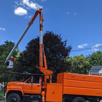 Dave Tree Service - Tree Services Near Me - Pawtucket, Rhode Island Dave Tree Service - Tree Services Near Me - Pawtucket, Rhode Island