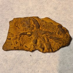 Chesapeake Heritage and Paleontology Tours