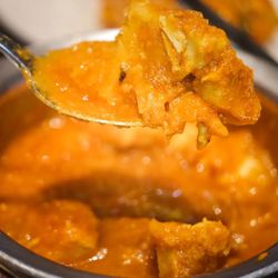 Tandoor Fine Indian Cuisine - /gluten free