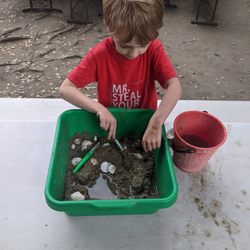 Digging for Sea Shells!