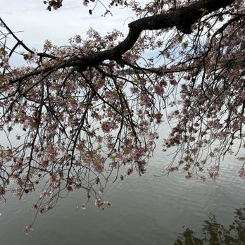 Tidal Basin - Lakes Near Me - Washington, DC, District of Columbia