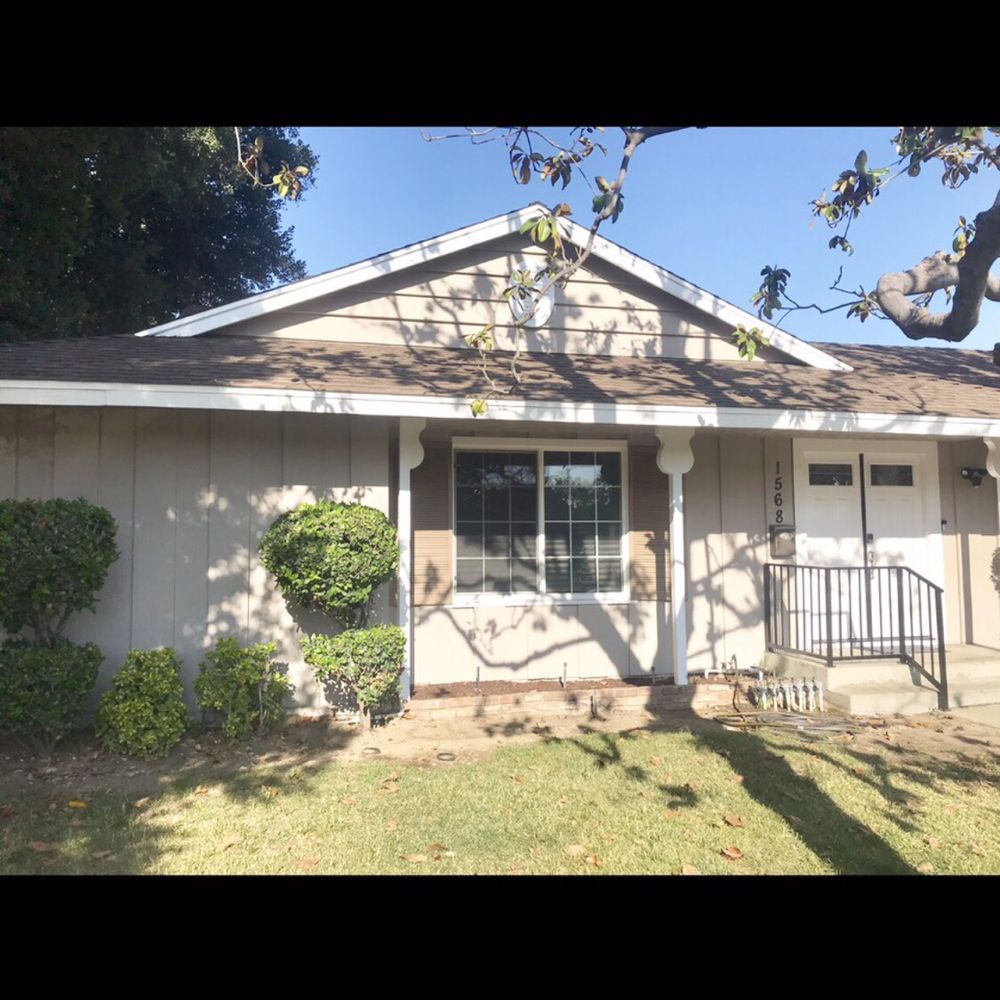 Green Ivy Maintenance - BEFORE front yard - Landscaping Near Me