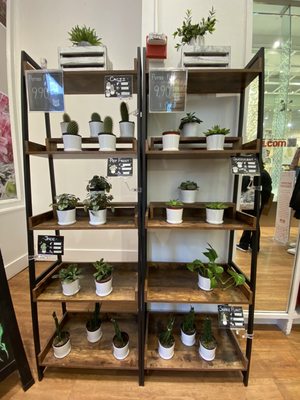 UNIQLO Soho Store by null