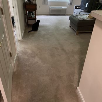 Stanley Steemer - Before carpet cleaning 1:36pm. - Carpet Cleaning Near Me - Rosedale, Maryland