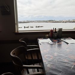 Chart Room Restaurant - Seals outside from the table
